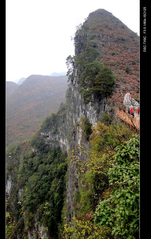 dsc02012.jpg