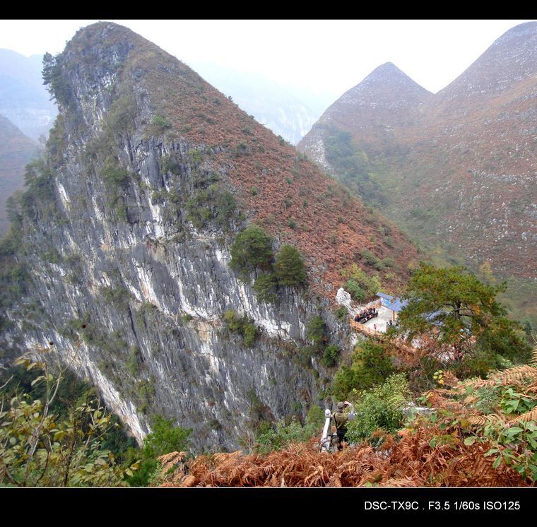 dsc02014.jpg