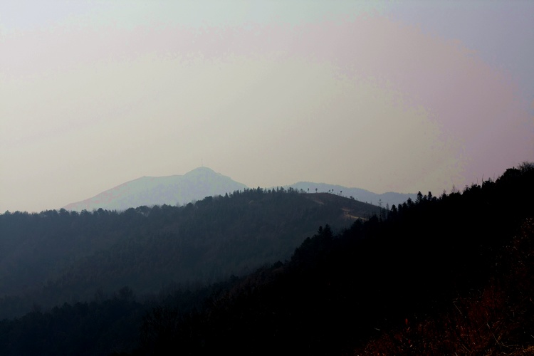 _mg_9419.jpg