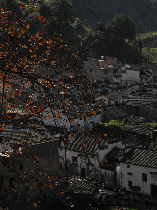 dscn0119.jpg