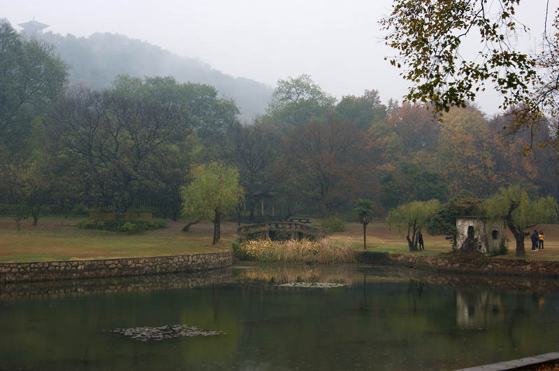 dsc01825.jpg