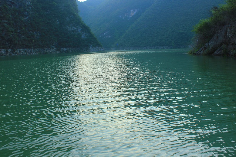 img_3521.jpg