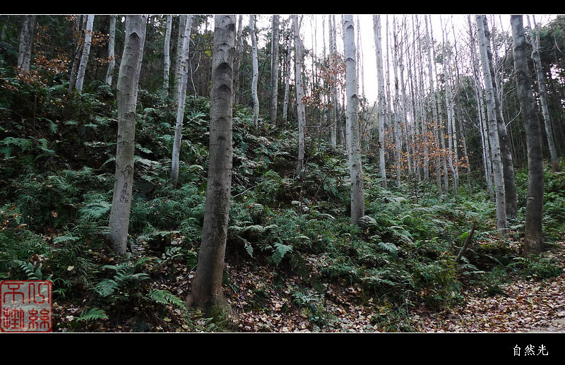 l1270654.jpg