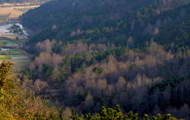 ľԽ20111224 218.jpg