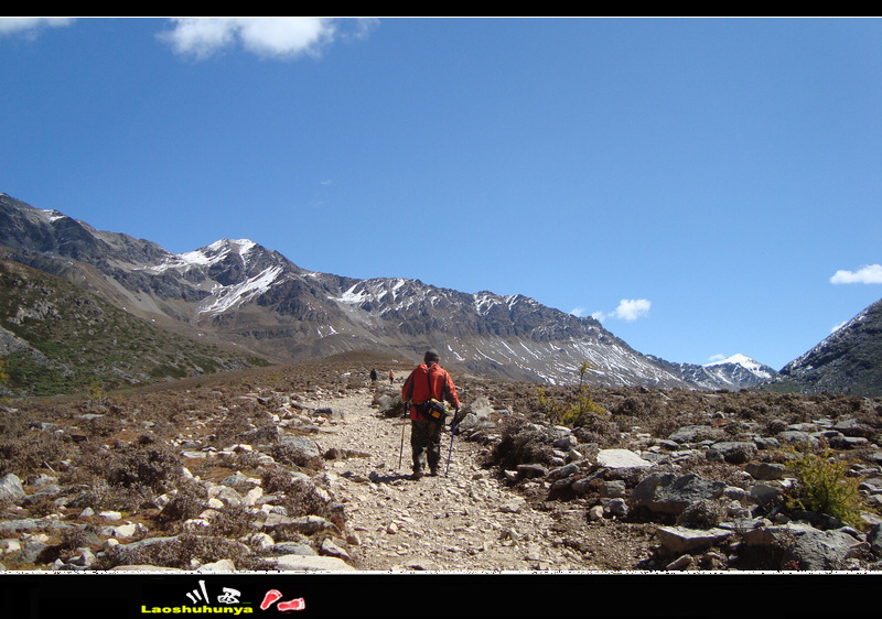dsc08985.jpg