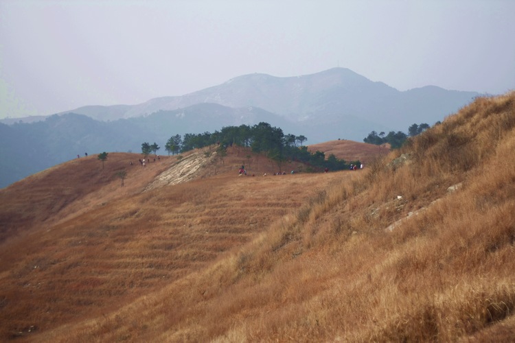 _mg_9735.jpg