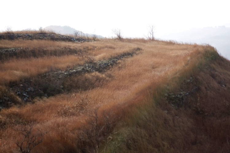 _mg_9592.jpg
