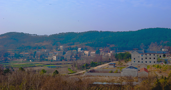 _dsc9028a.jpg