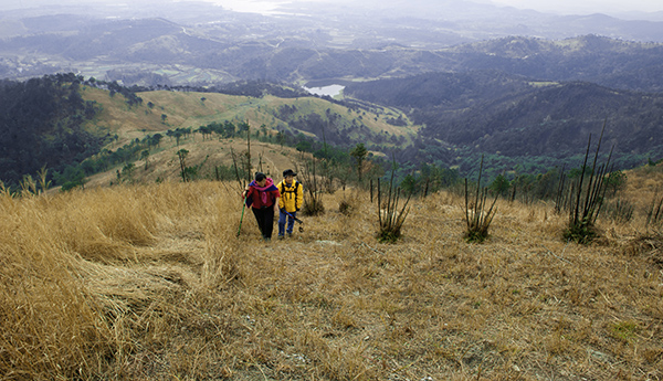 _dsc9155a.jpg