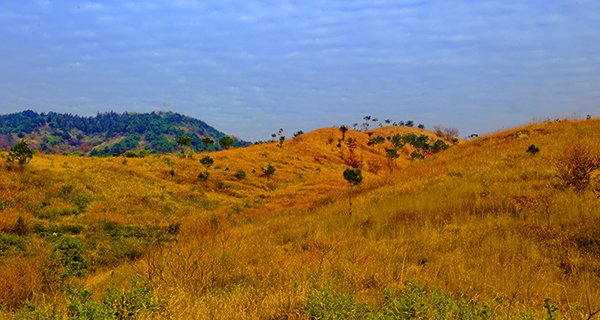 _dsc9029a.jpg