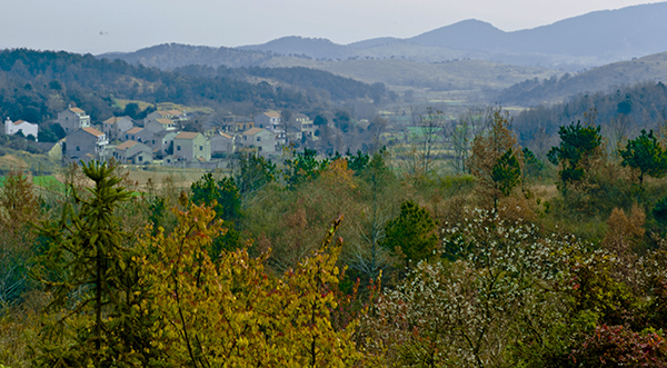 _dsc9057a.jpg