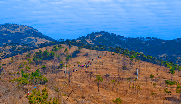 _dsc9065a.jpg