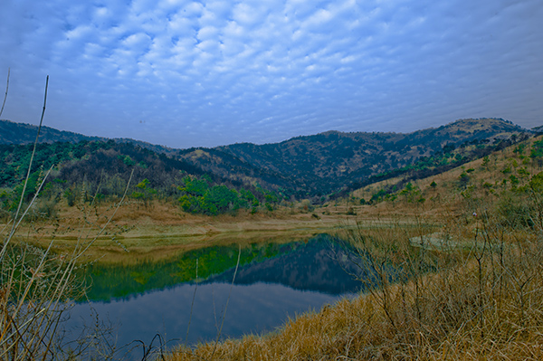 _dsc9067a.jpg
