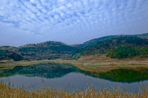 _dsc9068a.jpg