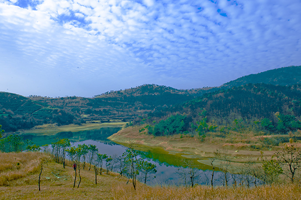 _dsc9074a.jpg