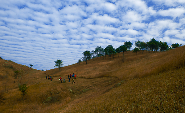 _dsc9105a.jpg