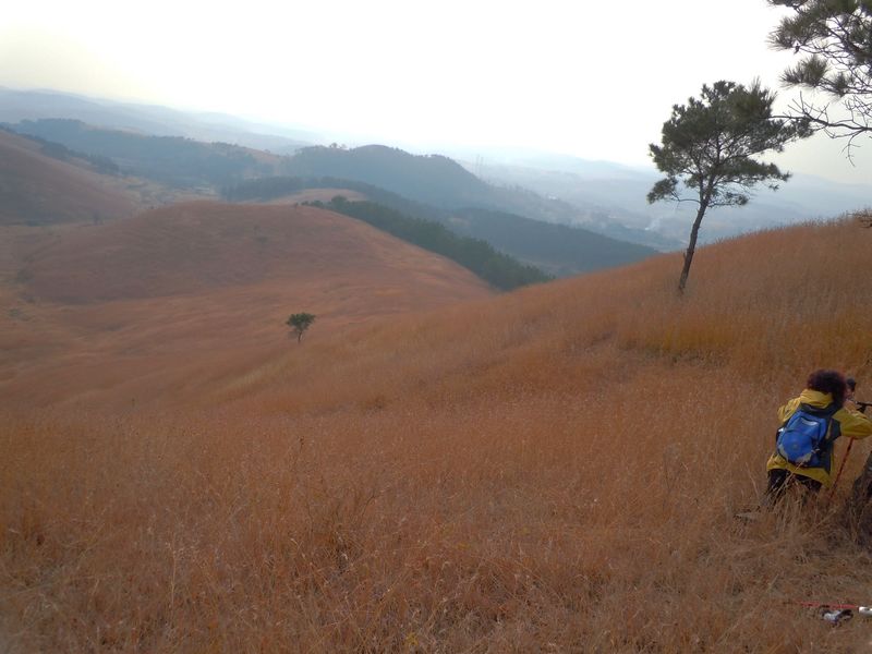 2011 011.jpg