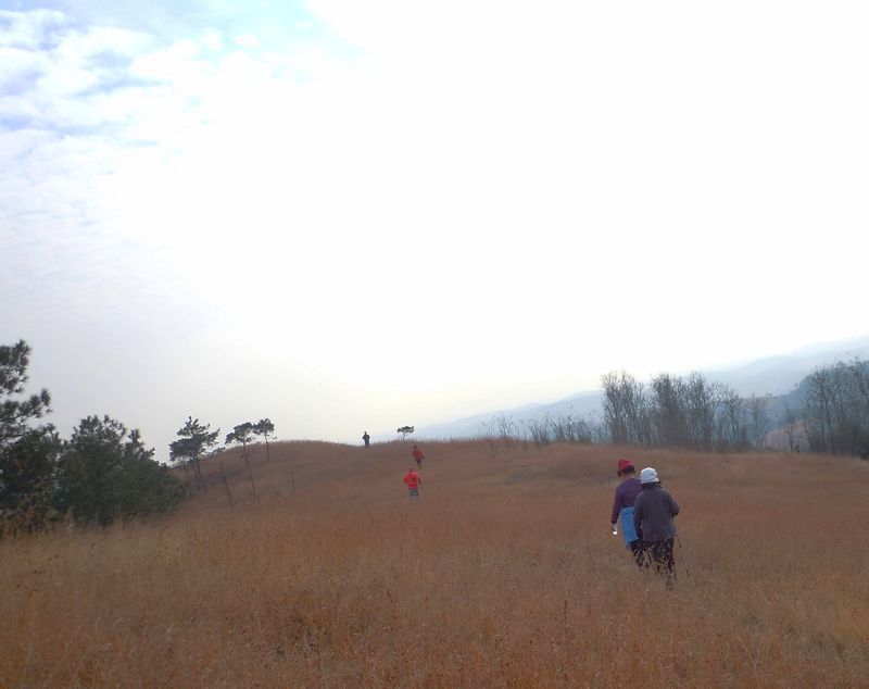 2011 009.jpg