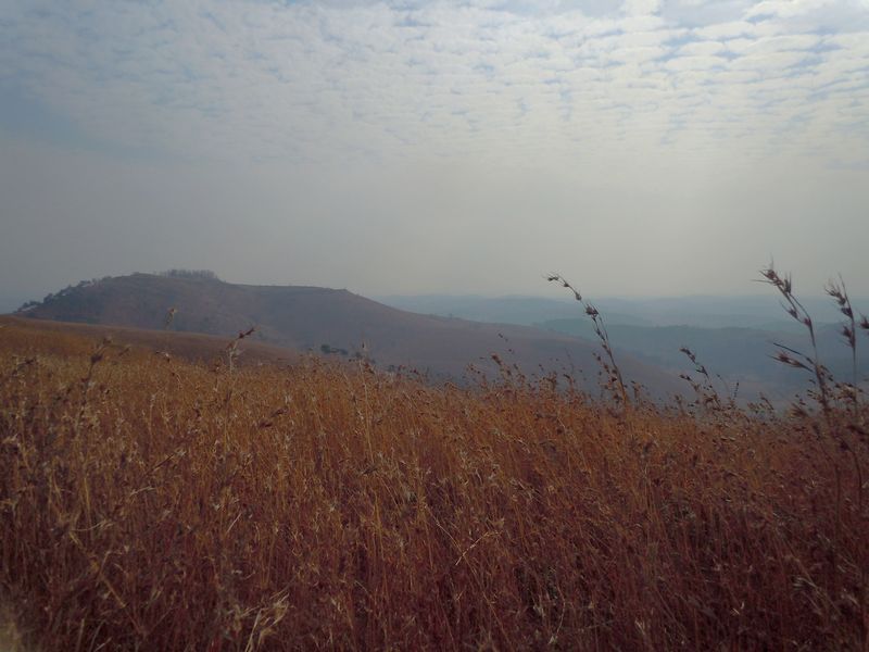 2011 014.jpg