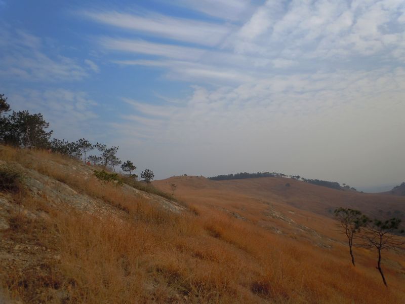 2011 013.jpg