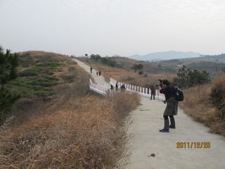 img_5474_neo_img.jpg