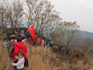 img_5548_neo_img.jpg