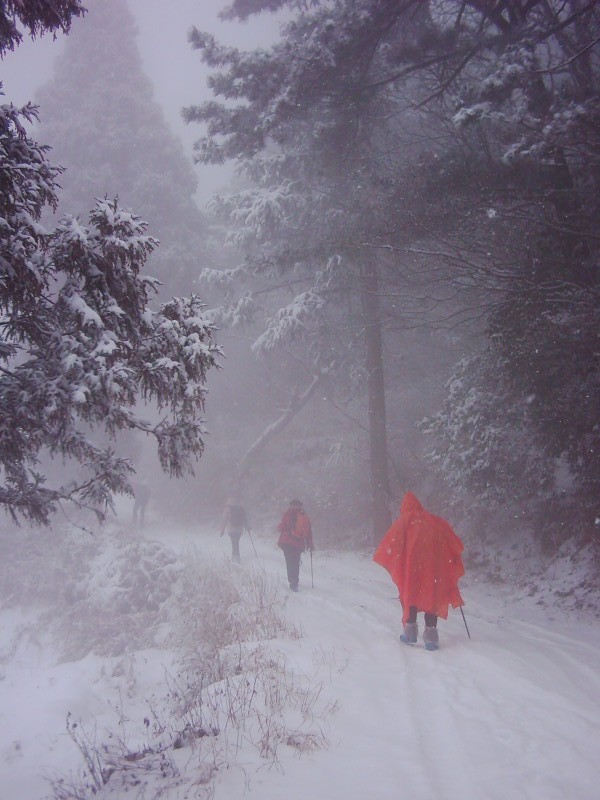 20111220284878304.jpg