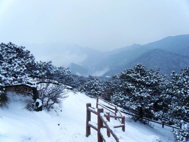 20111232203374194.jpg