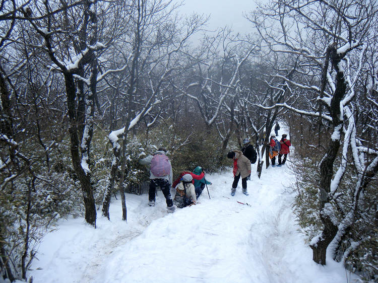 201112216314352766.jpg