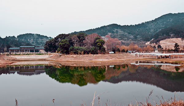 _dsc9219a.jpg