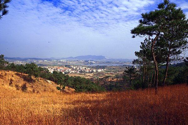 _dsc9239a.jpg