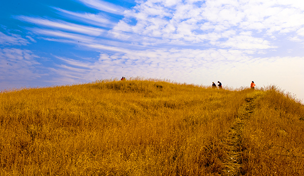 _dsc9264a.jpg