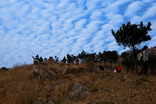 _dsc9117a.jpg