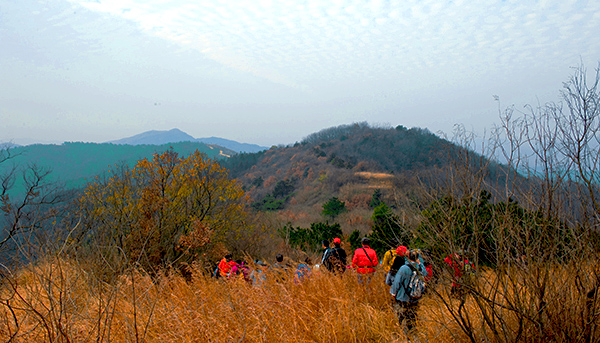 _dsc9174a.jpg