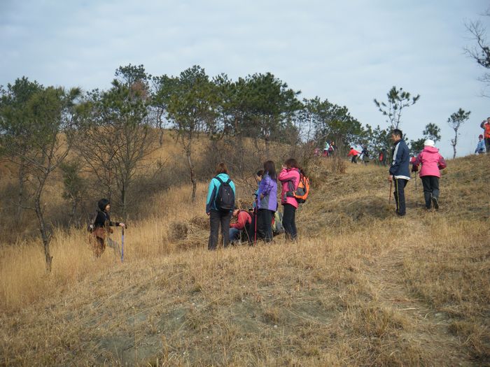 dscf2690.jpg