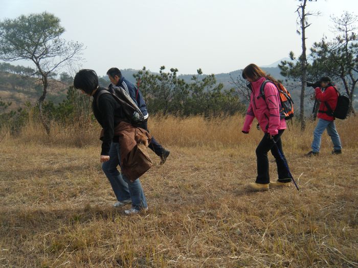 dscf2705.jpg