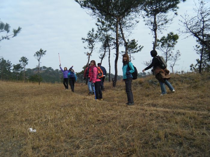 dscf2704.jpg