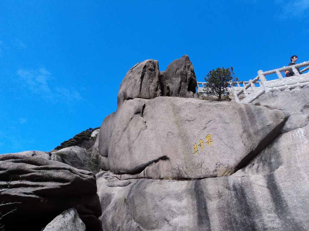 dsc04138.jpg
