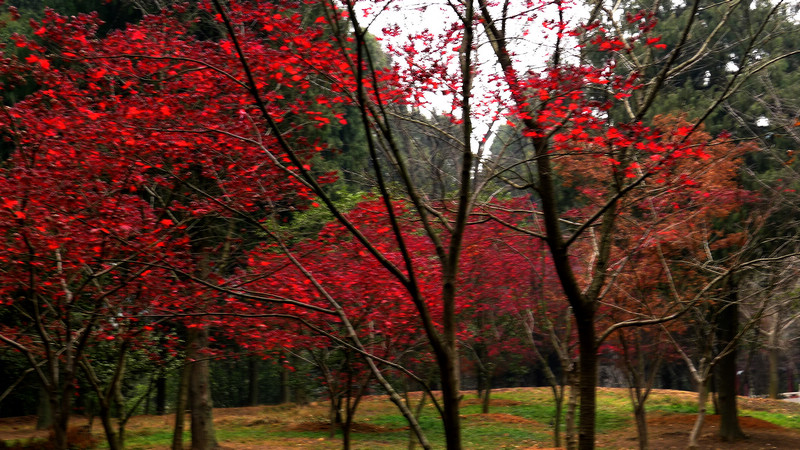 p1070234.jpg