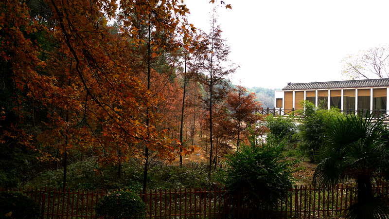 p1070242.jpg