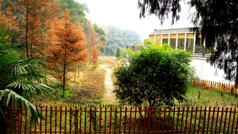 p1070251.jpg