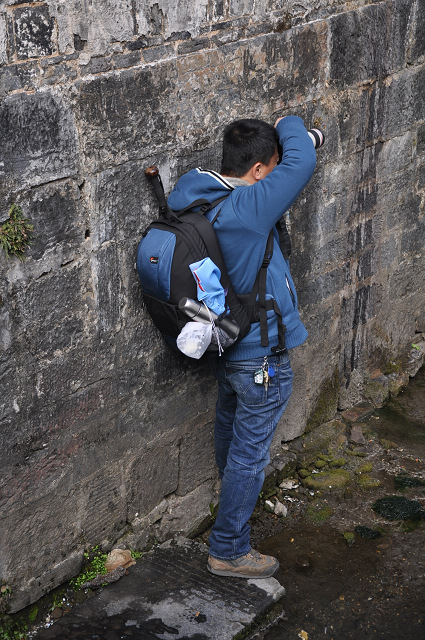 dsc_1003.jpg