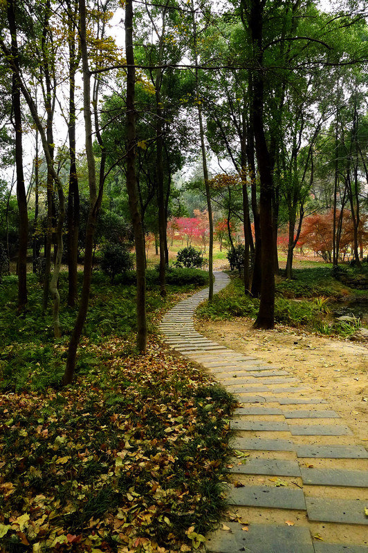 p1070252.jpg