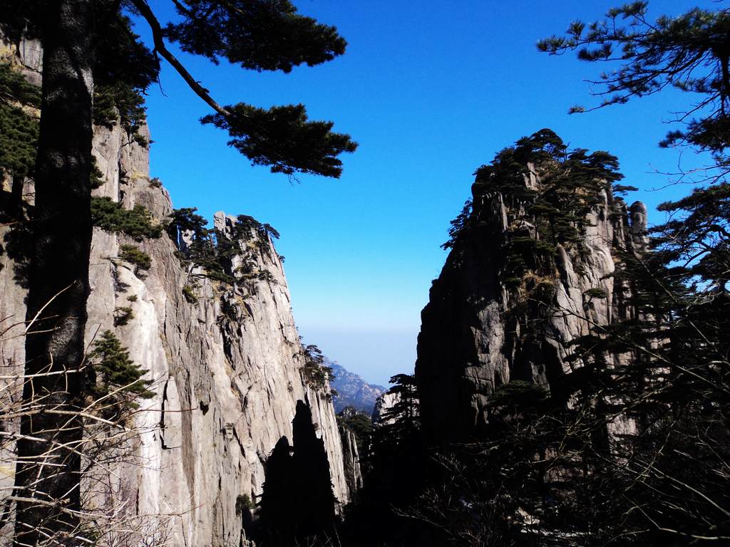 dsc03750.jpg