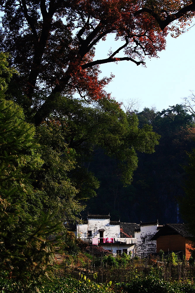 dpp_0716.jpg
