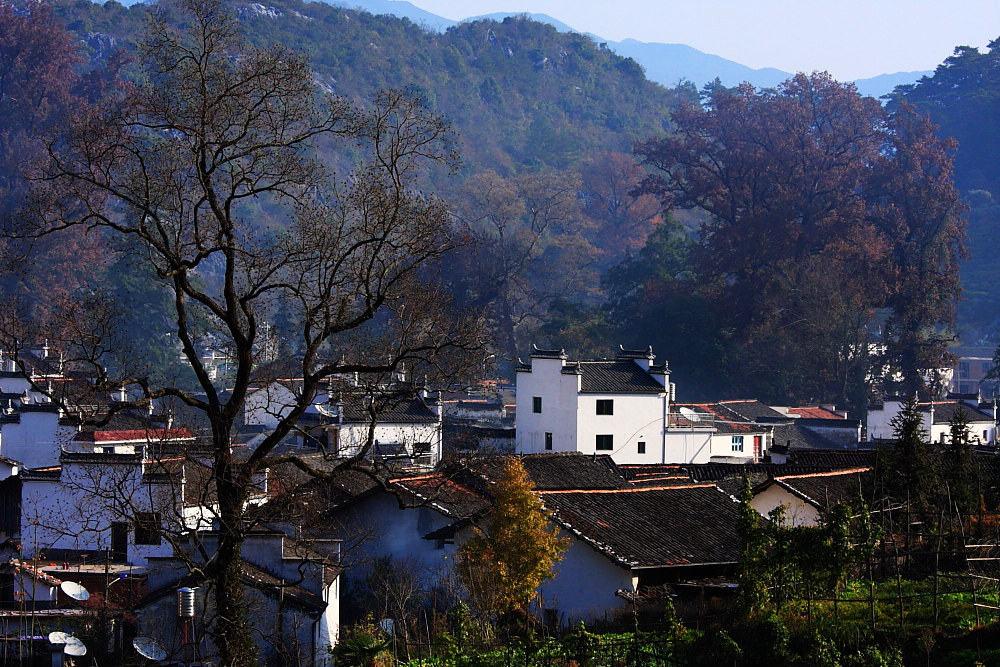 dpp_0715.jpg