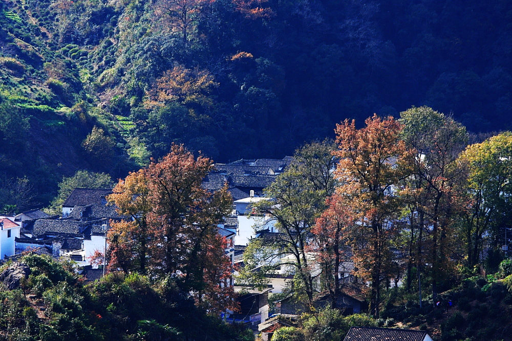 dpp_0720.jpg