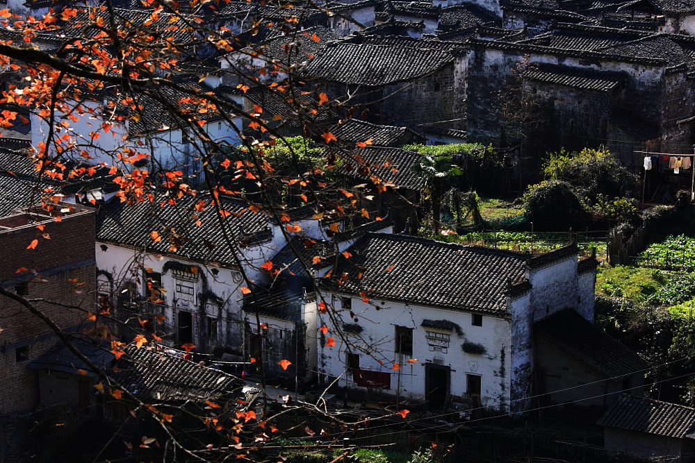 dpp_0730.jpg