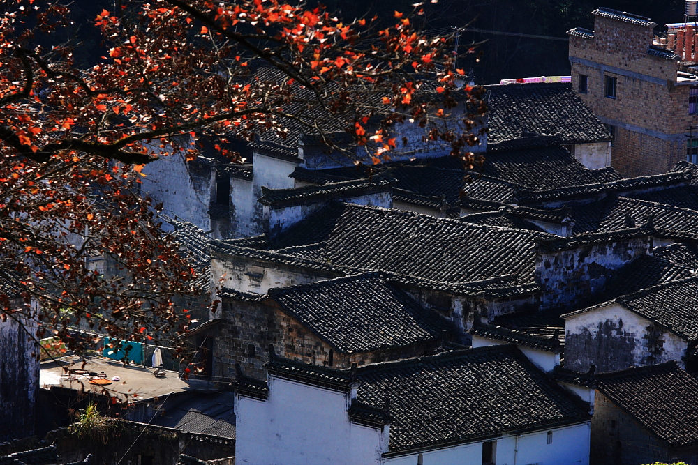 dpp_0728.jpg