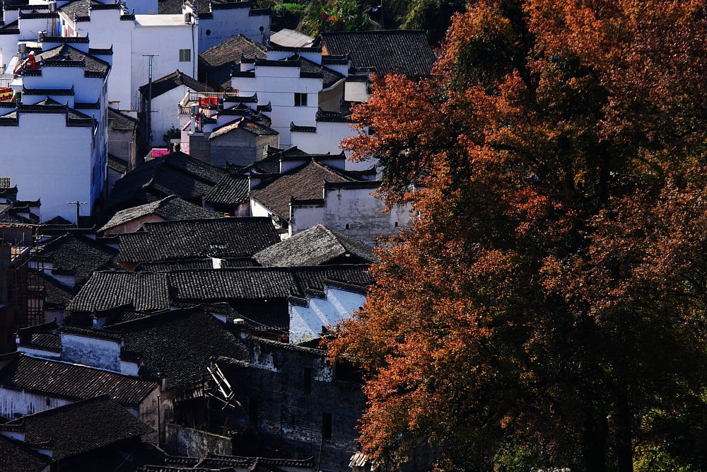 dpp_0724.jpg